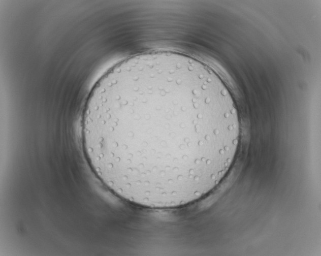 X0000112820814200910021201