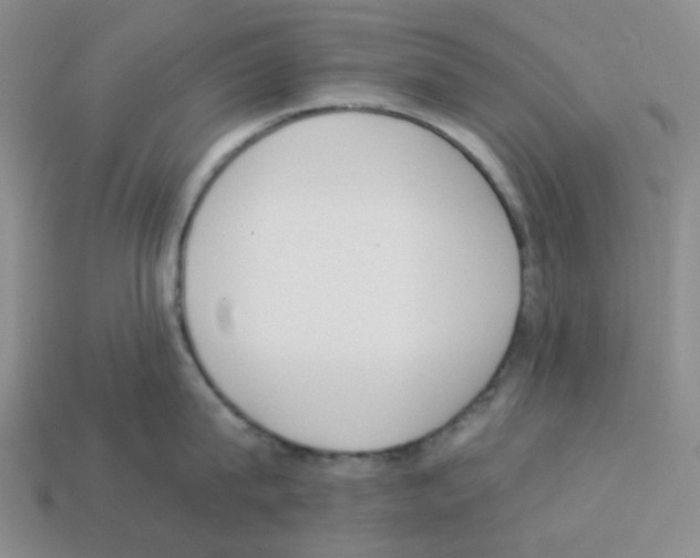 X0000112820815200910021201