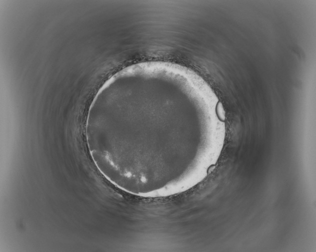 X0000112820817200910021200