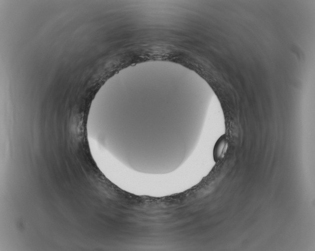 X0000112820818200910021200