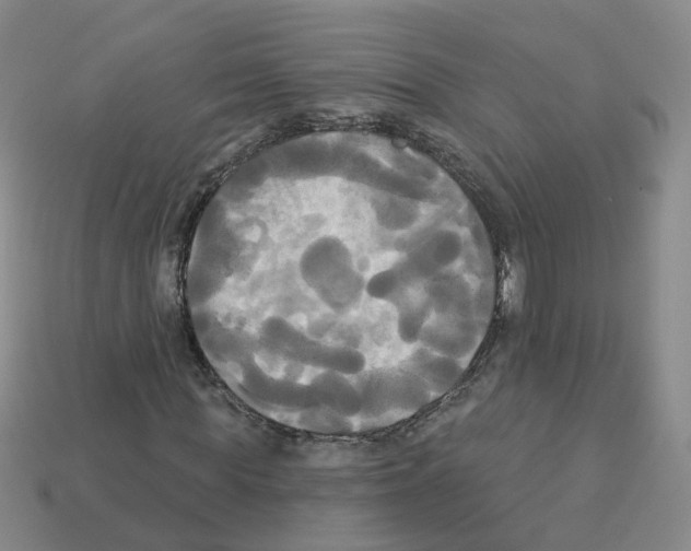 X0000112820819200910021200