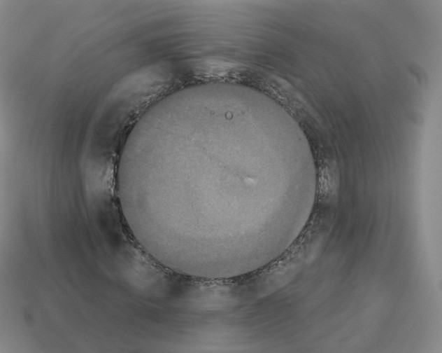 X0000112820820200910021200