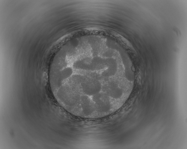 X0000112820821200910021200