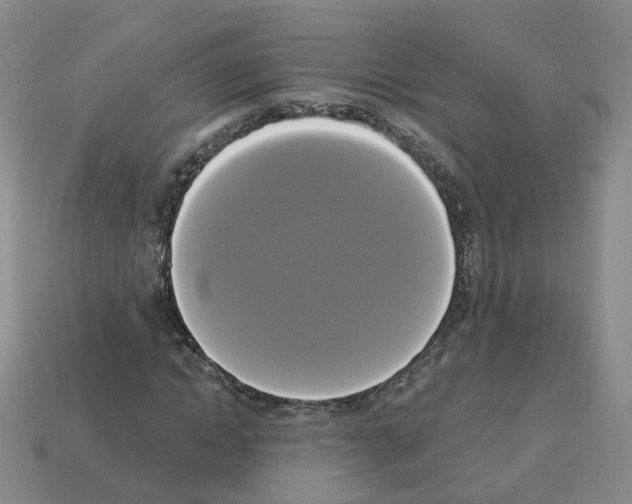 X0000112820822200910021200