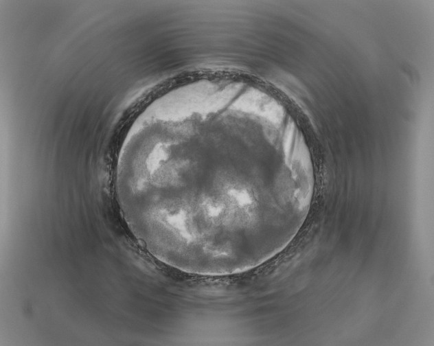 X0000112820823200910021200