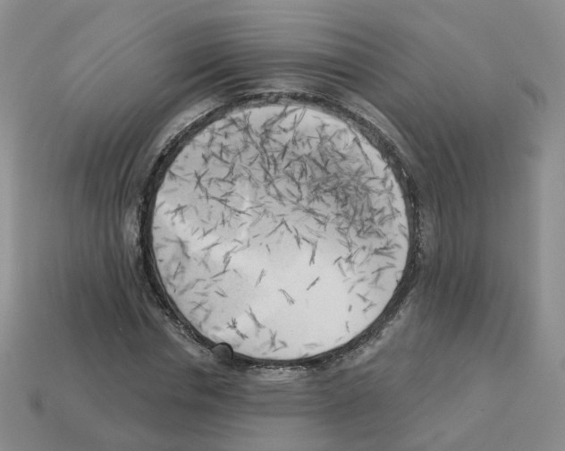 X0000112820826200910021200