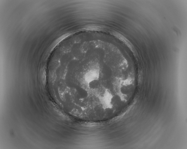 X0000112820829200910021200