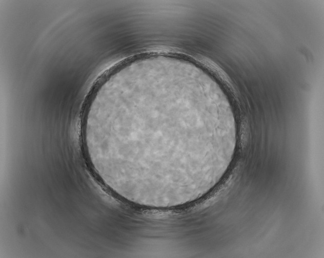 X0000112820831200910021200