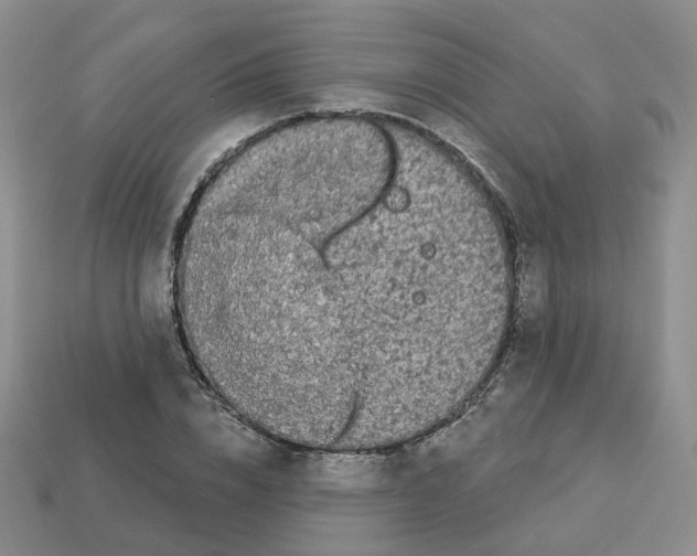 X0000112820832200910021200