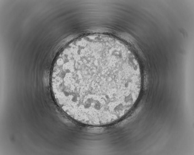 X0000112820833200910021200