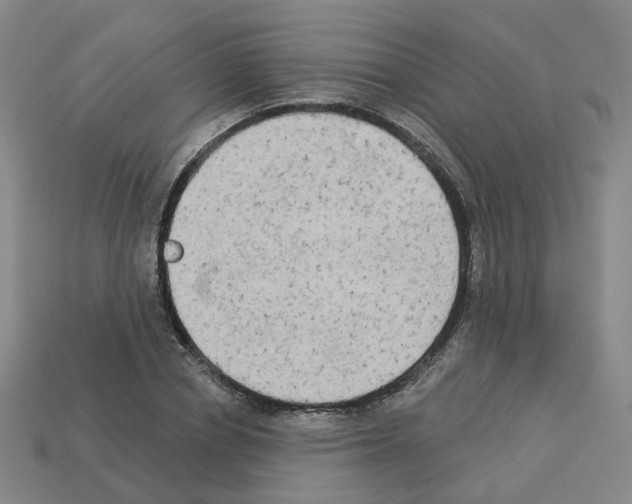 X0000112820834200910021200