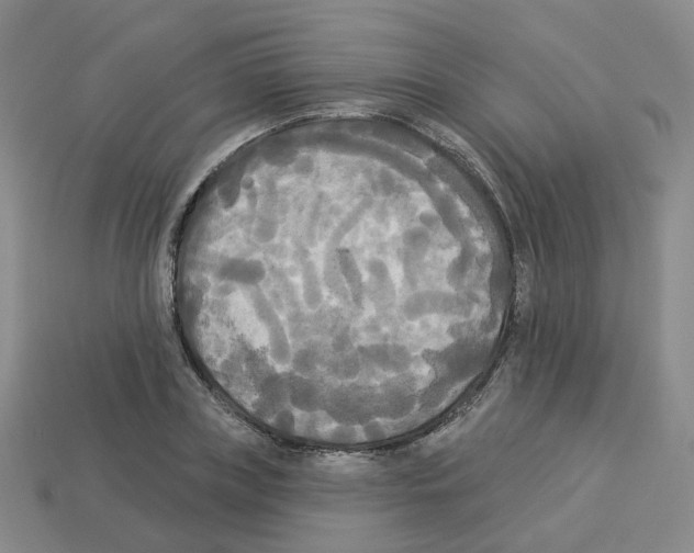 X0000112820835200910021200