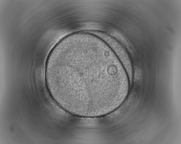 X0000112820836200910021200