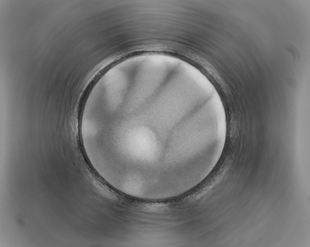 X0000112820837200910021200