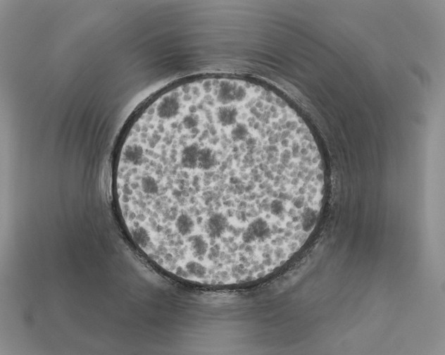 X0000112820838200910021200