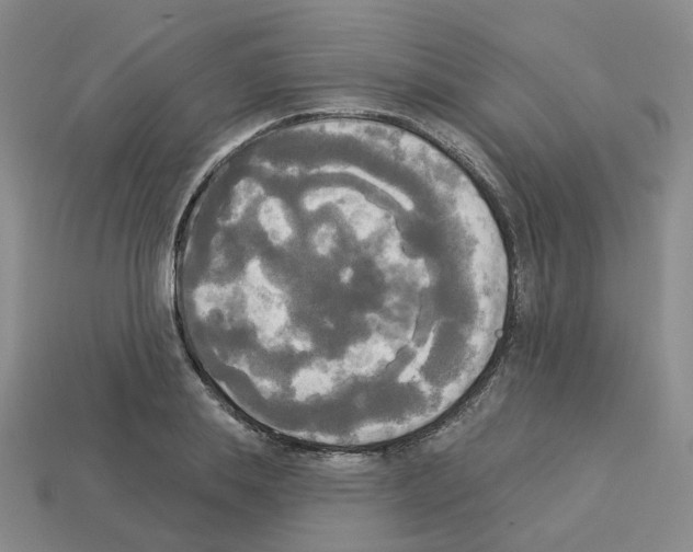 X0000112820839200910021200