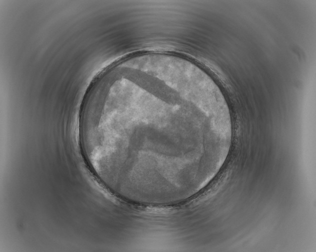 X0000112820840200910021200