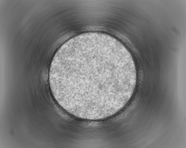 X0000112820841200910021200