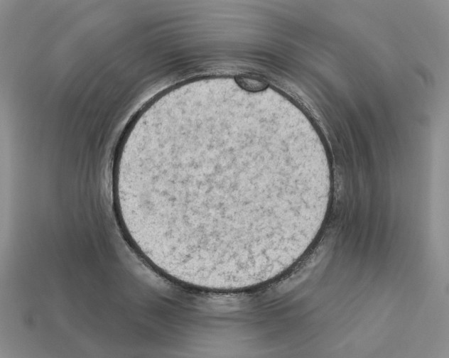 X0000112820843200910021200