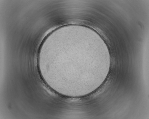 X0000112820846200910021200