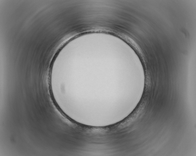 X0000112820847200910021200