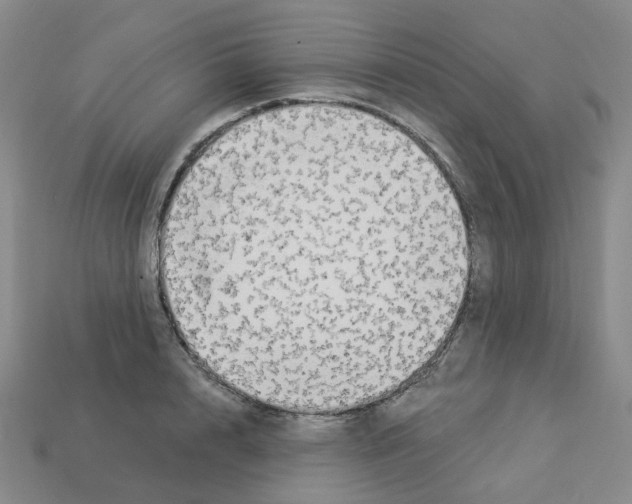 X0000112820848200910021200