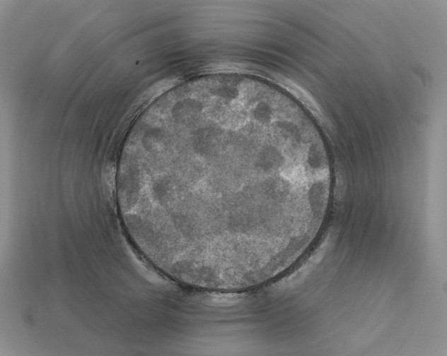 X0000112820849200910021200