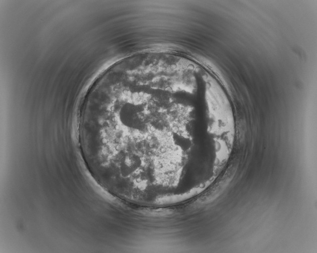 X0000112820851200910021200