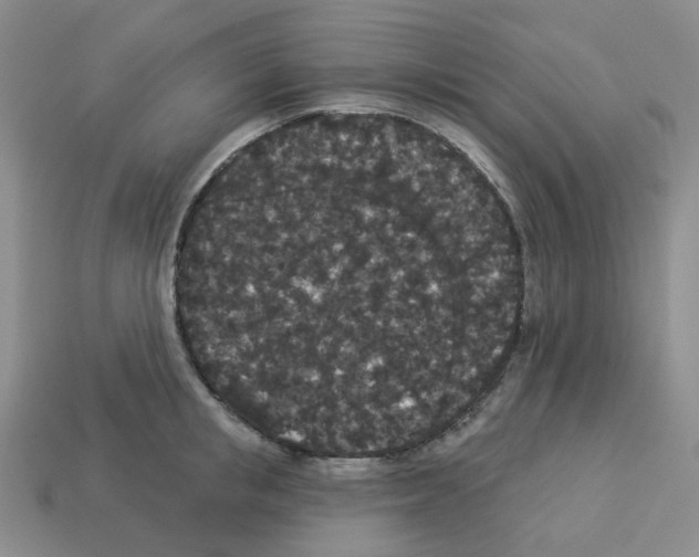 X0000112820853200910021200