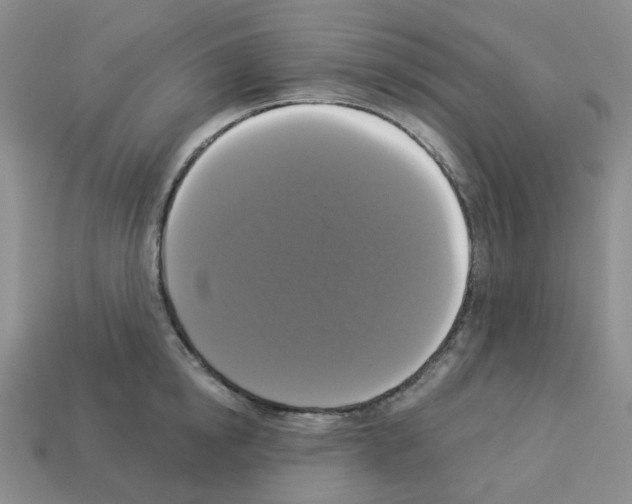 X0000112820854200910021200