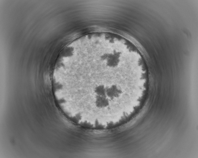 X0000112820857200910021201