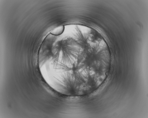 X0000112820858200910021201