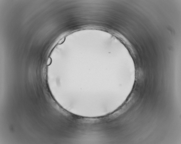 X0000112820860200910021201