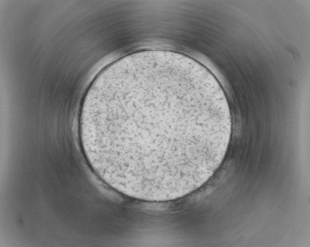 X0000112820861200910021201