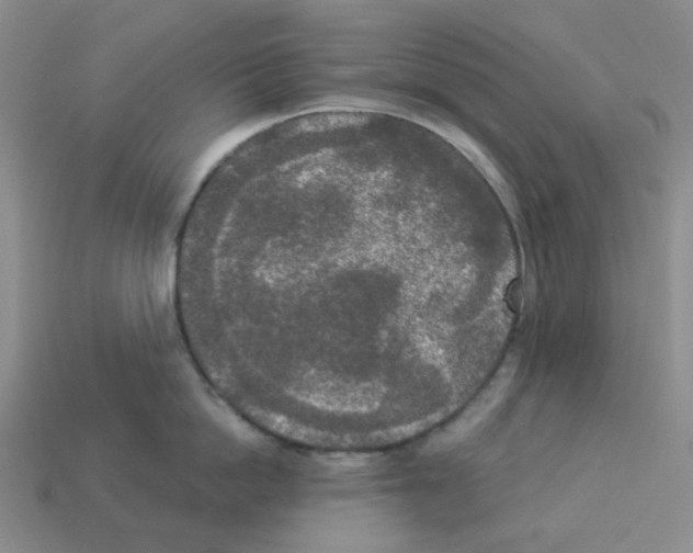 X0000112820862200910021201