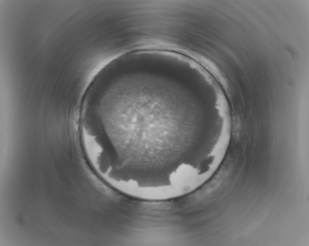 X0000112820863200910021201