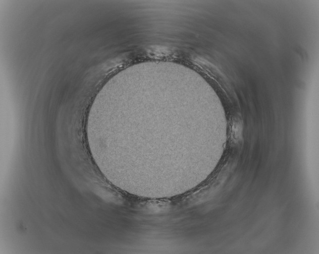 X0000112820865200910021200