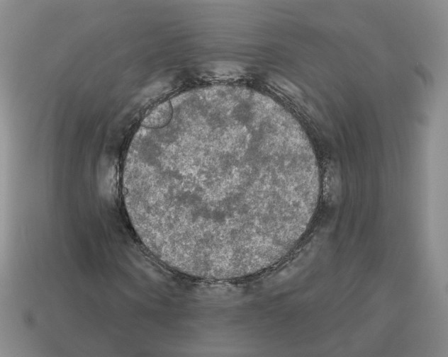 X0000112820866200910021200