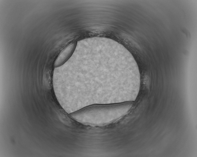 X0000112820868200910021200