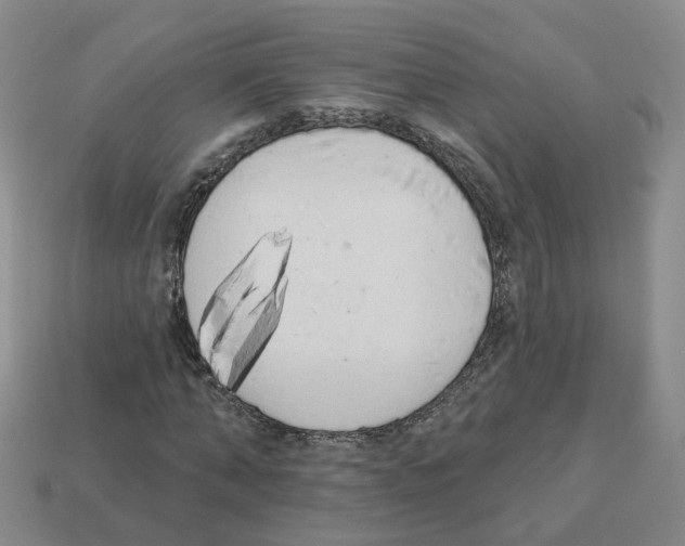 X0000112820870200910021200