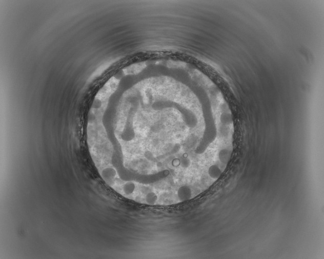 X0000112820871200910021200