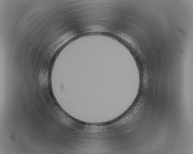 X0000112820873200910021200