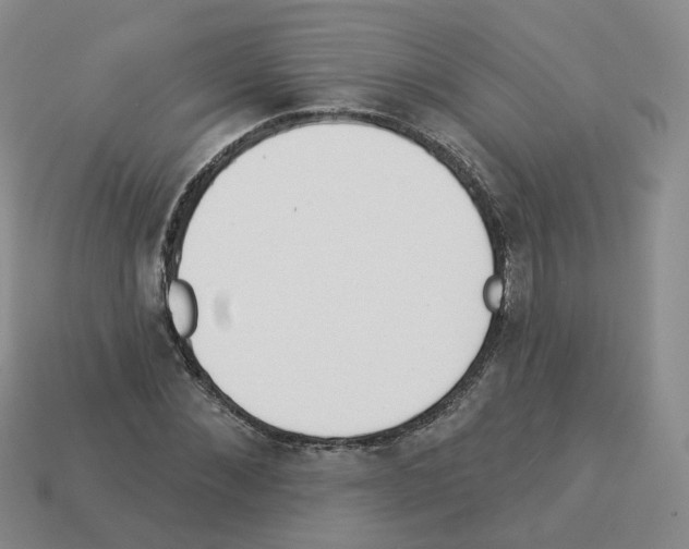 X0000112820876200910021200