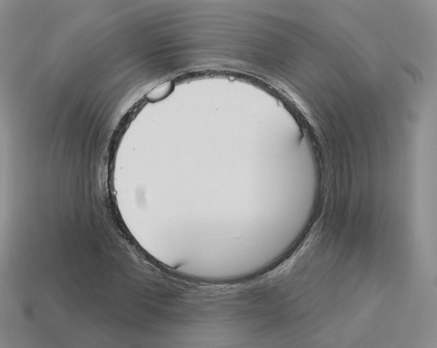 X0000112820877200910021200