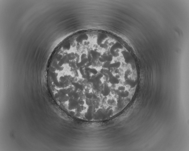 X0000112820879200910021200