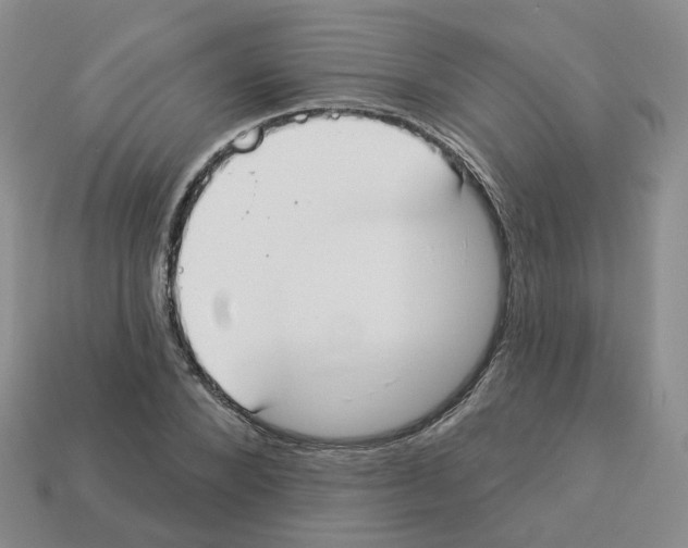 X0000112820880200910021200