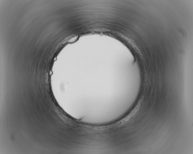 X0000112820881200910021200