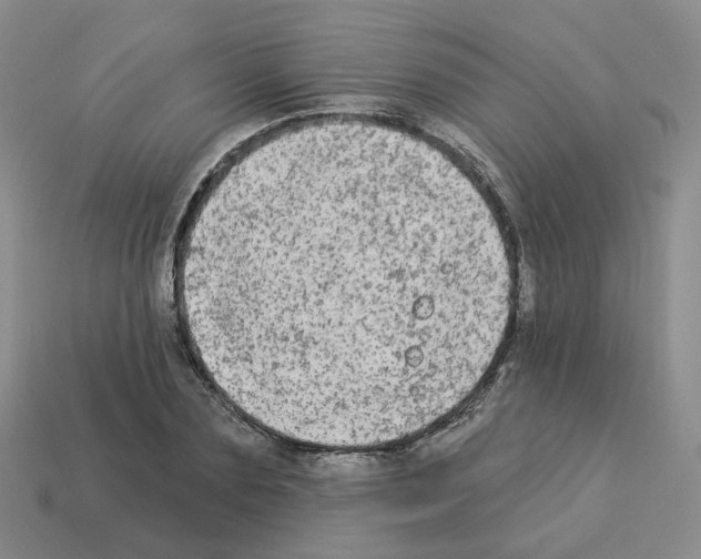 X0000112820883200910021200