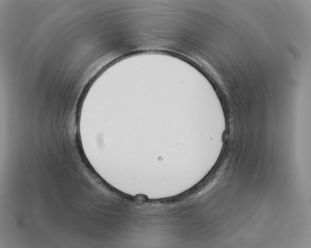 X0000112820885200910021200