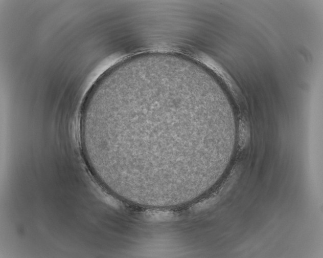 X0000112820886200910021200